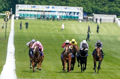 sandown scurry
