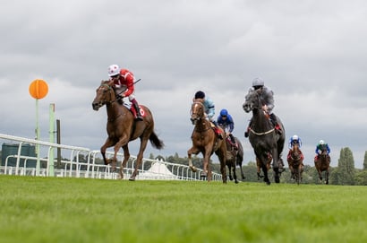 sandown star stakes