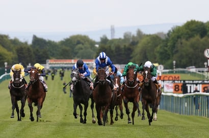 sandy lane stakes