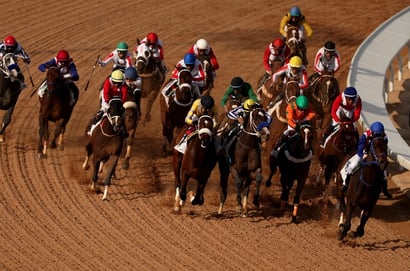 saudi cup riyadh horse