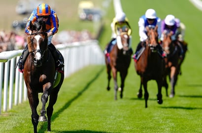 scandinavia newmarket