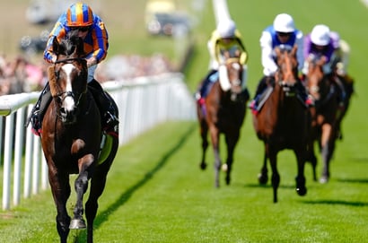 scandinavia newmarket
