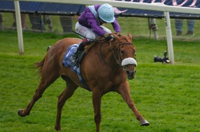 see the fire stakes
