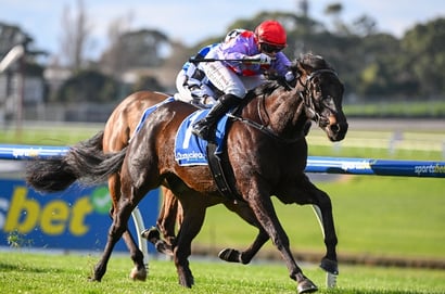 seymour tips 12/10