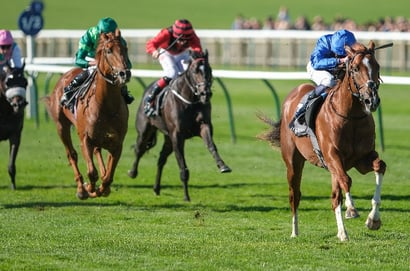 shadow of light stakes