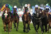 shagraan goodwood