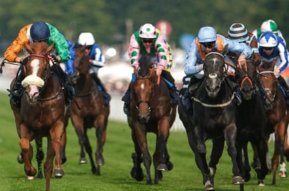 shagraan goodwood