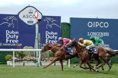 shergar cup