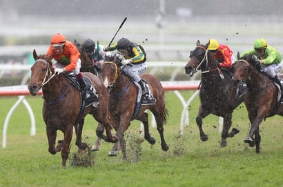 Family Affairs - Racing’s Most Memorable Sibling Battles