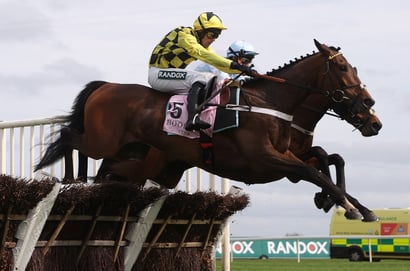 "It’s where we’re going to go" - Henderson readying Sir Gino for Christmas Hurdle comeback