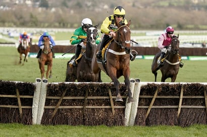 sir gino cheltenham