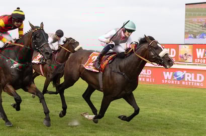south africa horse racing