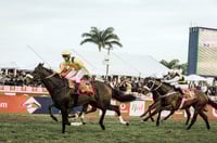 south africa horse racing