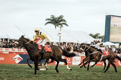 south africa horse racing