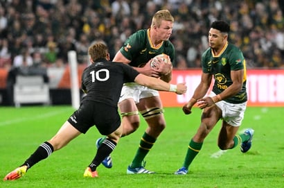 springboks vs new zealand