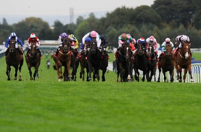 sprint cup haydock