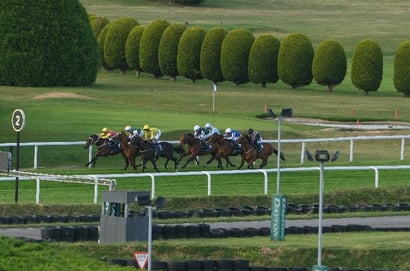 star sports sandown