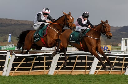 Stayers' Hurdle 2026 Tips - Overlooked home runner the value bet on Thursday