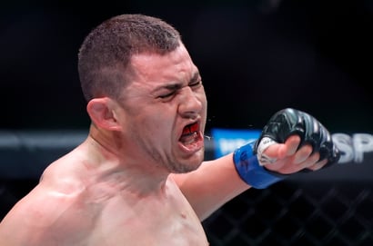 steve garcia ufc