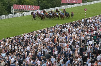 2025 Stewards' Cup Tips - Odds, trends and two selections