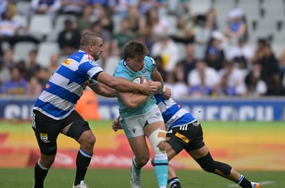 stormers rugby