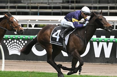 Sir Rupert Clarke Stakes 2025: $3.50 for any of Arkansaw Kid, Another Wil or Sepals to Win