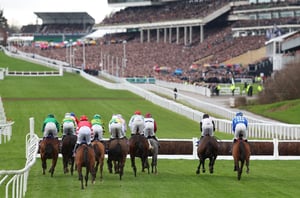 Supreme Novices' Hurdle 2026 Tips - Could there be a British winner of the opener?