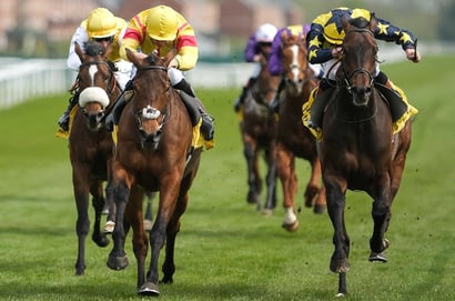surprise stakes newbury