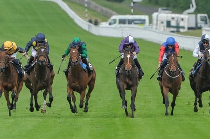 sussex stakes goodwood