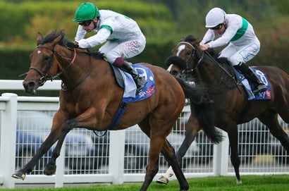 2025 Lockinge Stakes Tips - David's filly can upstage the colts at Newbury