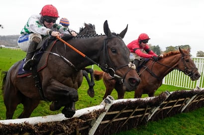 the blue room hurdle