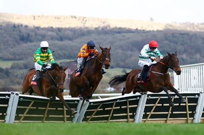 the new lion cheltenham