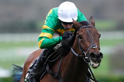 2026 Aintree Hurdle Odds - The New Lion leads Brighterdaysahead in Aintree betting