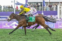 the real prince durban