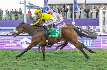 the real prince durban