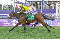 the real prince durban