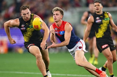tigers demons afl
