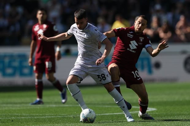 Torino vs Udinese Predictions & Tips