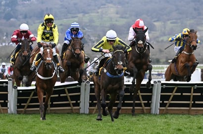 2026 Triumph Hurdle Entries - Narciso Has tops lengthy list of juvenile entries