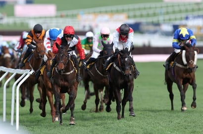 triumph hurdle