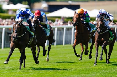 venetian sun newmarket