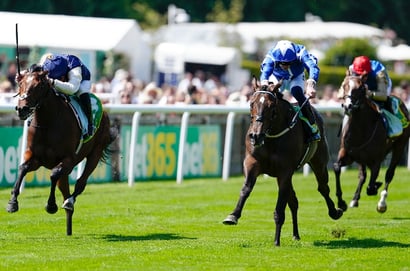 venetian sun stakes