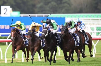 Verry Elleegant Stakes Tips - Via Sistina set to bounce back after first up defeat