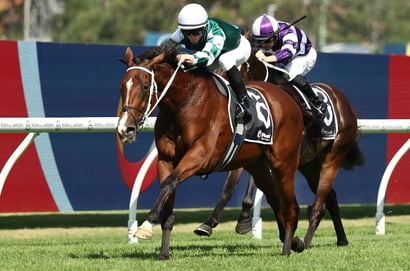 Queen Elizabeth Stakes Tips - Via Sistina to stamp authority in Queen Elizabeth Stakes