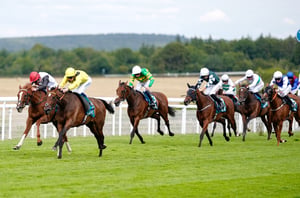 Newspaper Racing Tips - Valedictory, Waardah and Mr Swivell popular ITV picks