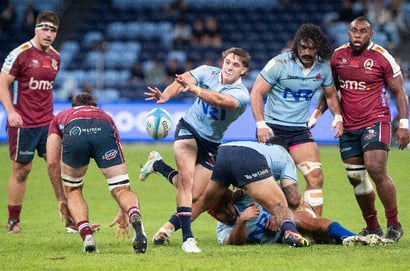 waratahs rugby 2024