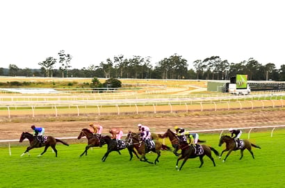 warwick farm tips for 02.07.2025
