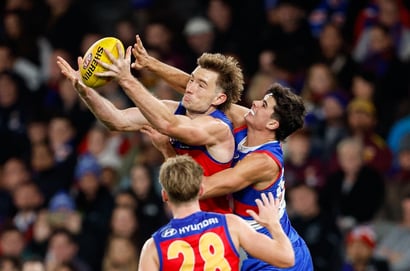 western bulldogs brisbane marvel