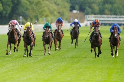 york racecourse