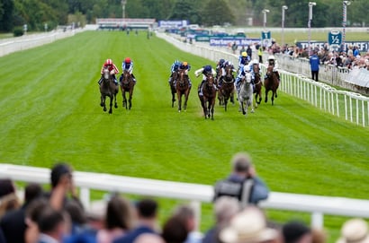 york racecourse